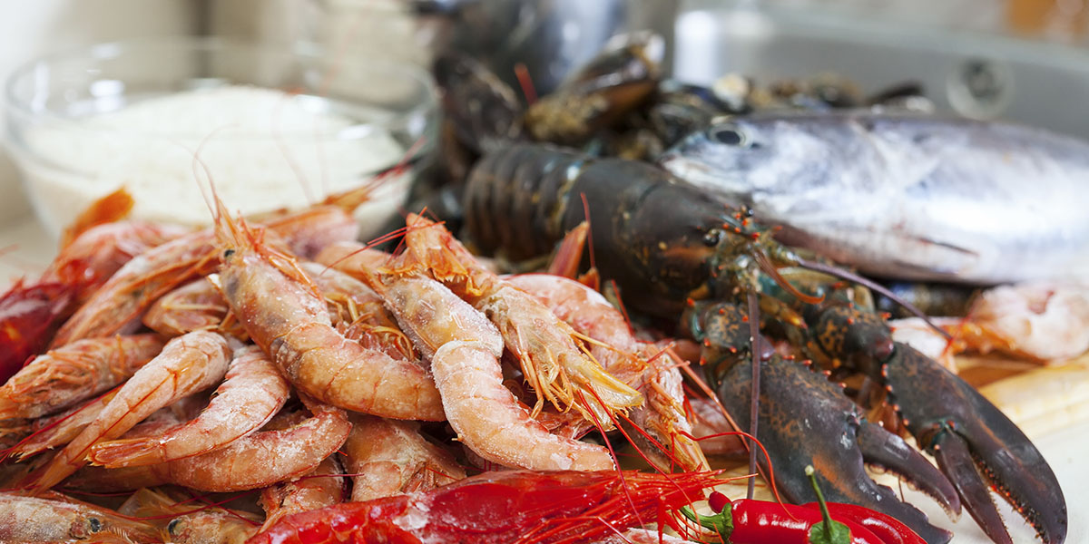Cocina con ingredientes frescos del mar: Beneficios de disfrutarla